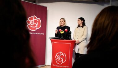 S vill ingå tioårspakt med M mot gängen