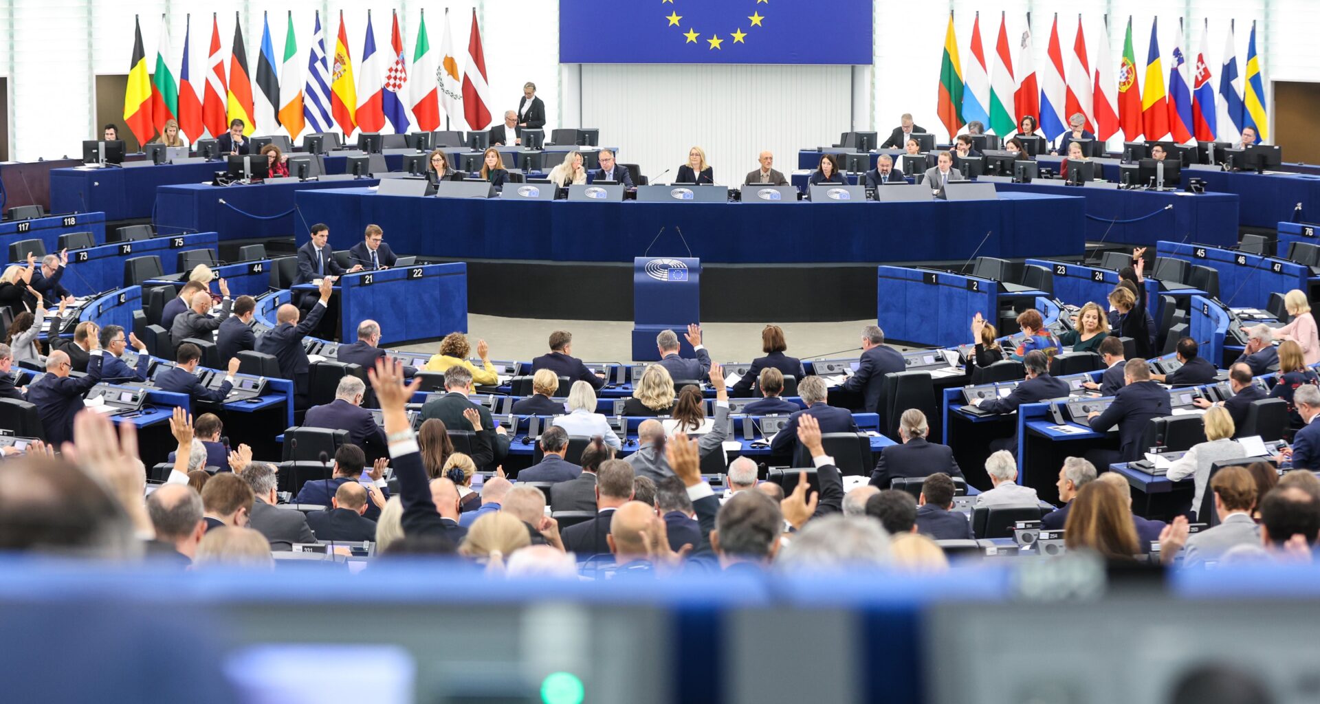 EU-parlamentet skjuter fram avskogningslagen med ett år