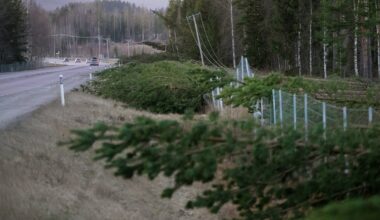 Kilometerlånga skador på viltstängsel efter stormen - Ljusnan