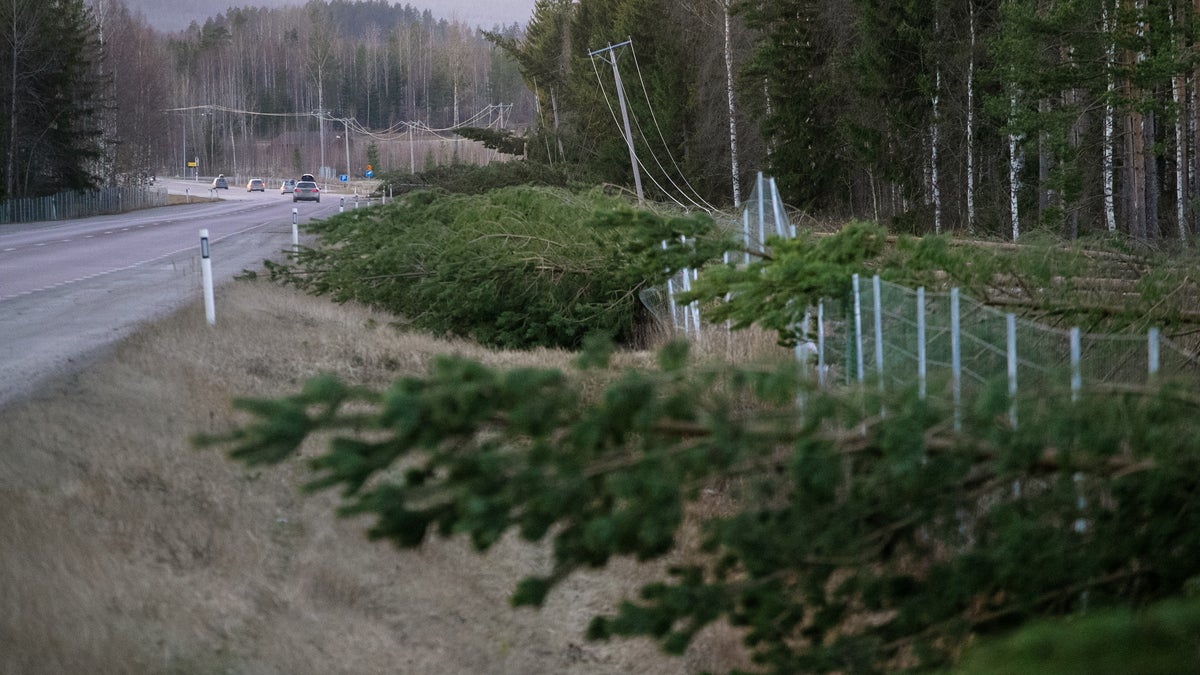 Kilometerlånga skador på viltstängsel efter stormen - Ljusnan