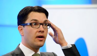 ”Jimmie Åkessons problem förödande för SD”