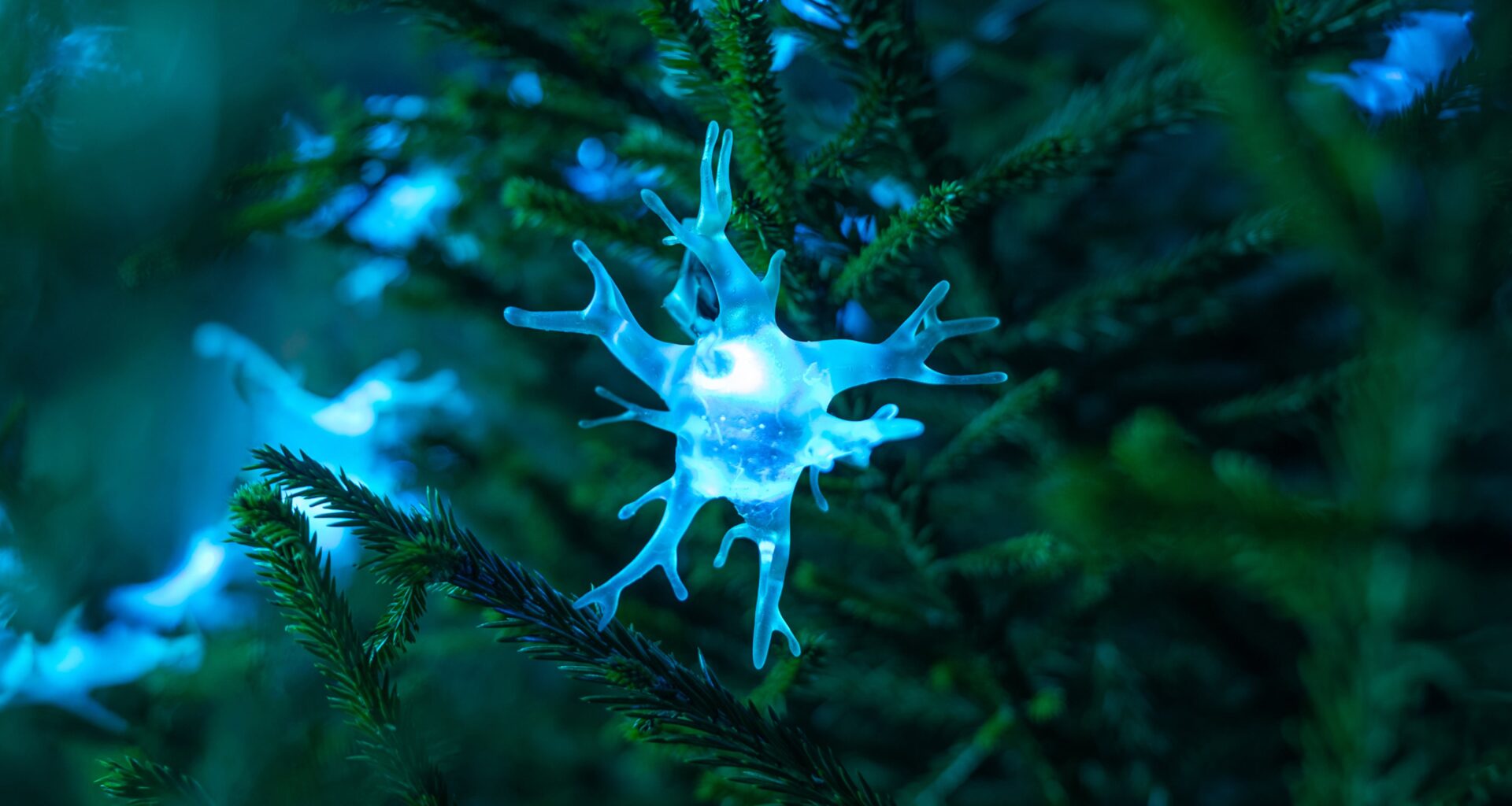 Hjärnfondens kampanj belyser hjärnsjukdomar med ljusslingor
