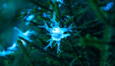 Hjärnfondens kampanj belyser hjärnsjukdomar med ljusslingor