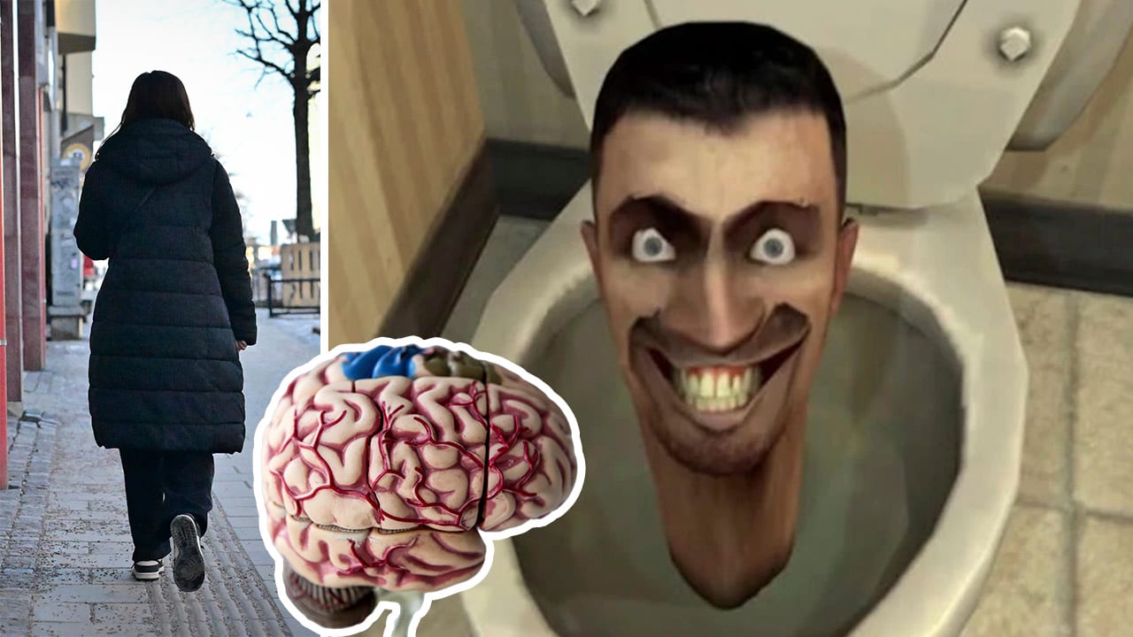 ”Mammakorv”, ”hjärnröta” och ”skibidi” finns bland årets svenska nyord.