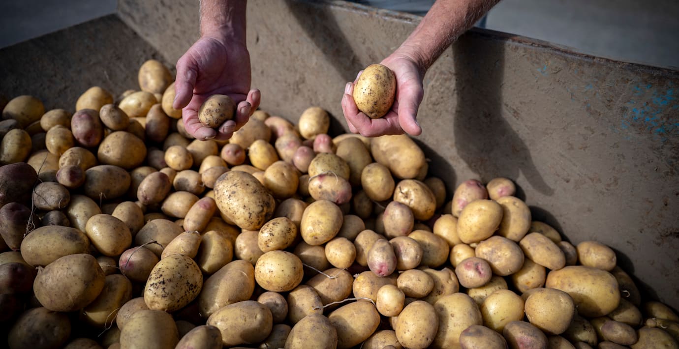 Klimatkrisen gör mat mindre näringsrik