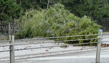 Hesa Fredrik-förvirring i stormen – ”Gick undan”
