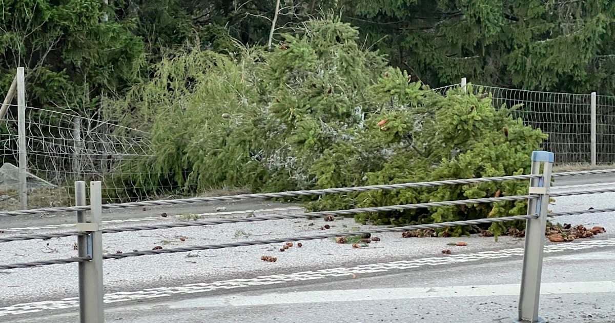 Hesa Fredrik-förvirring i stormen – ”Gick undan”