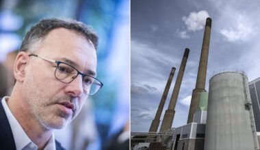 Rätt att kicka Svenska kraftnäts generaldirektör | Peter Wennblad