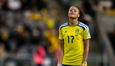 Fotboll: Sverige nobbas – får inte arrangera fotbolls-EM 2029