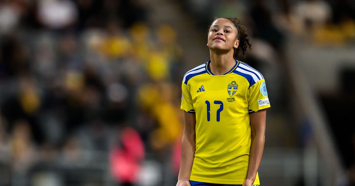 Fotboll: Sverige nobbas – får inte arrangera fotbolls-EM 2029