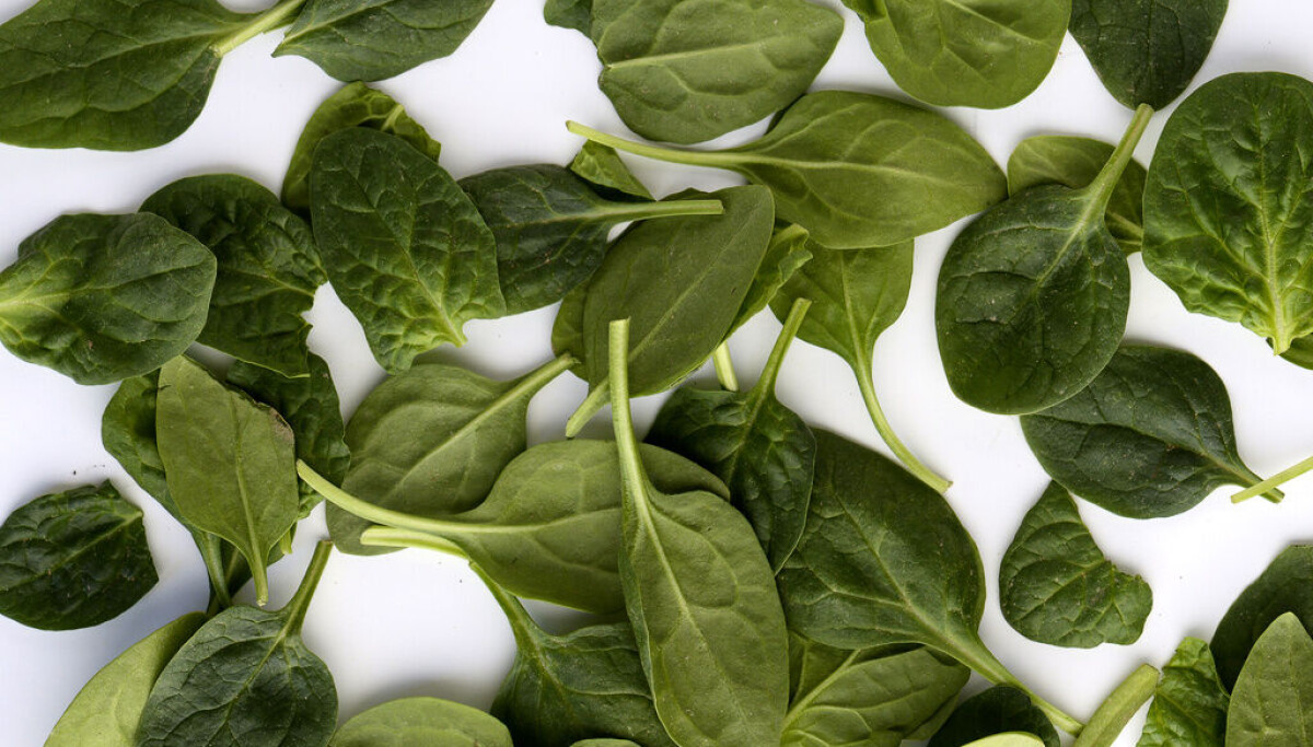 Därför är spenat ett bra vapen mot sjukdomar