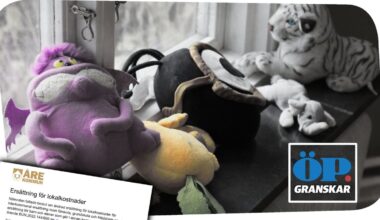 Fristående förskola fick fyrdubbel ersättning – underlag saknas – Östersunds-Posten