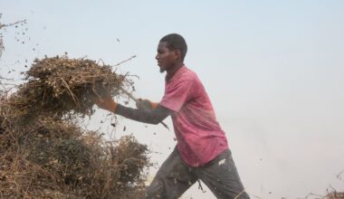 Filly, 33, lämnade Dakar för att bli bonde