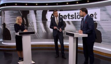 Tre påståenden från debatten mellan Andersson (S) och Åkesson (SD)