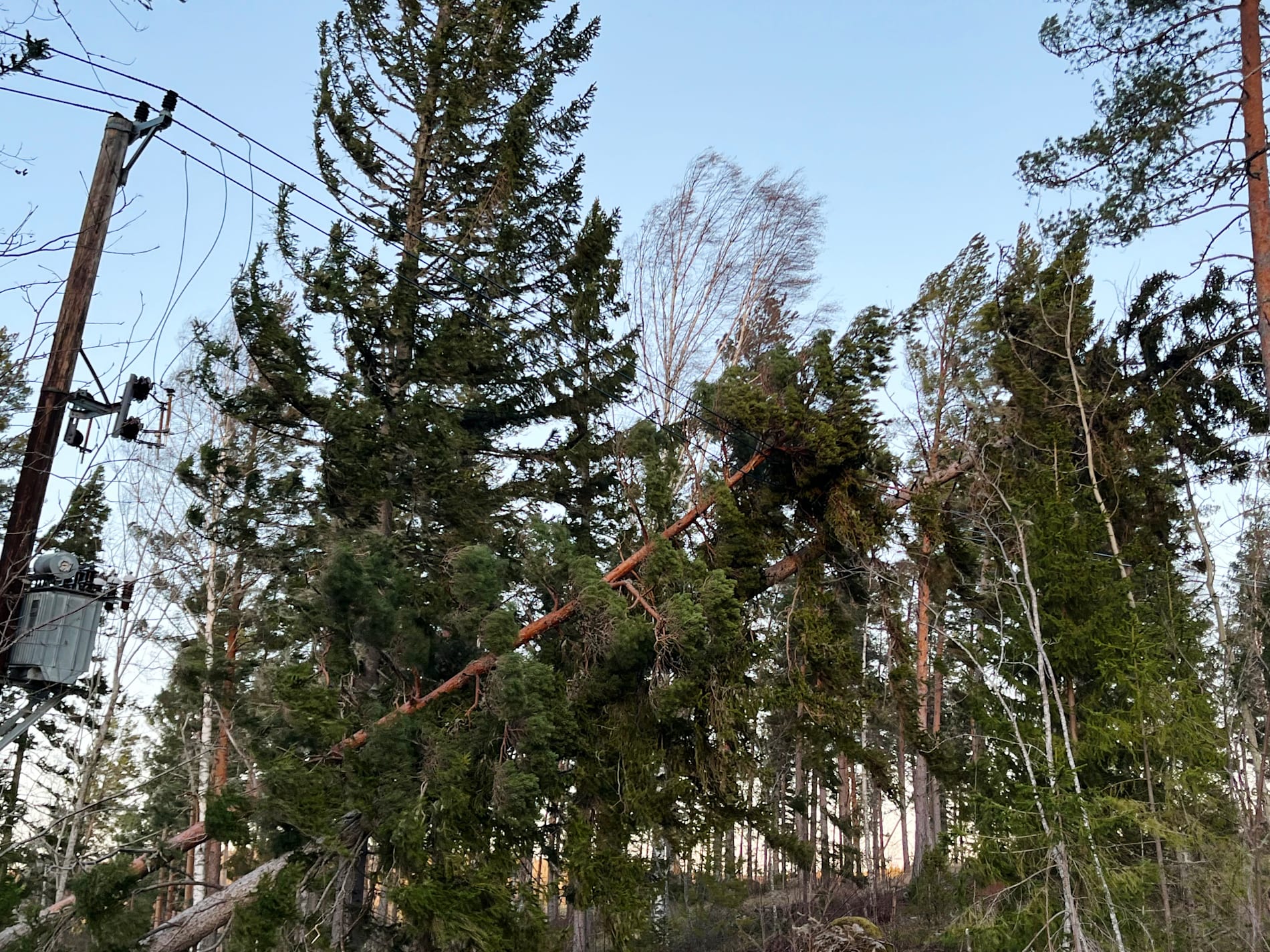 Många i Gävleborgs län blev av med strömmen under stormen Johannes. Arkivbild.