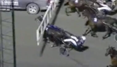 Thomas Dalborg och hästen Pete Baldwin vann på V85 efter galna tjuvstarten