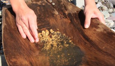 Guldprisets supersvit: 50 rekorddagar under året