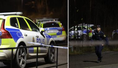 Ung man fick hand avhuggen – två anhållna