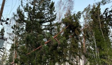 Tusentals strömlösa efter stormen ”Ett slagfält”