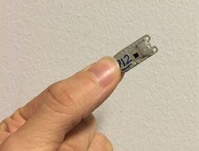 Ny teknik avslöjar flyttfåglarnas förbluffande flygprecision