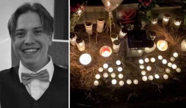 Alex dog i olycka i Österåker – hedrades med bilåg