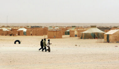 Handel eller folkrätt? Västsahara och EU:s juridiska dragkamp