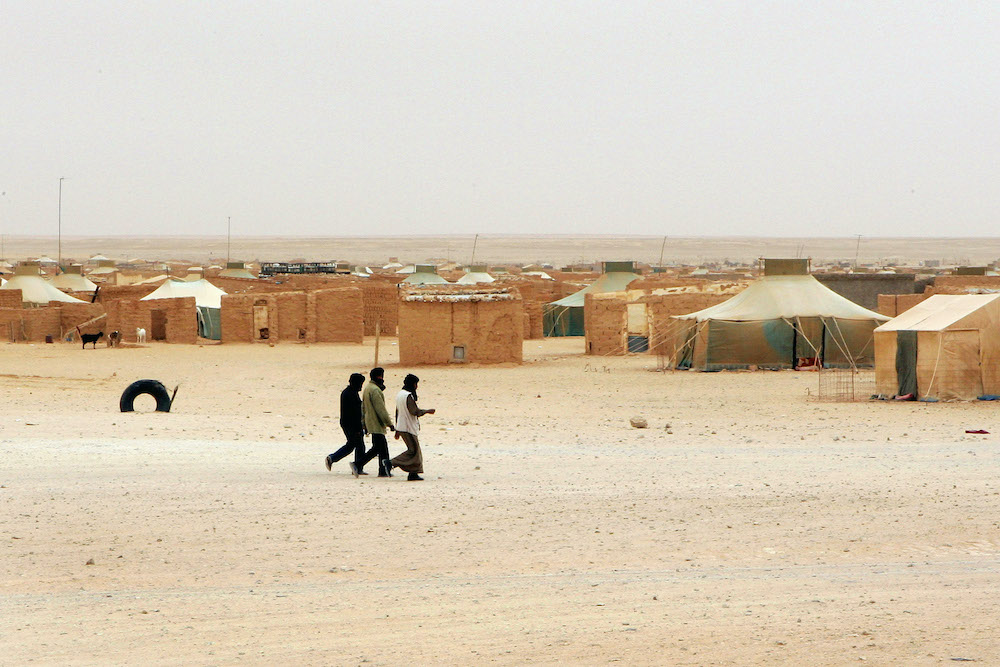 Handel eller folkrätt? Västsahara och EU:s juridiska dragkamp