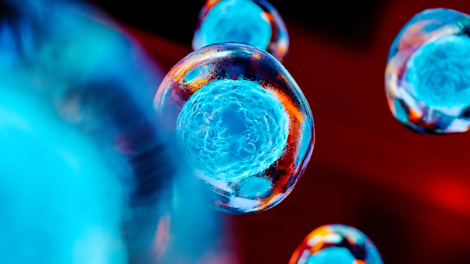 Ny algoritm kartlägger hur celler utvecklas