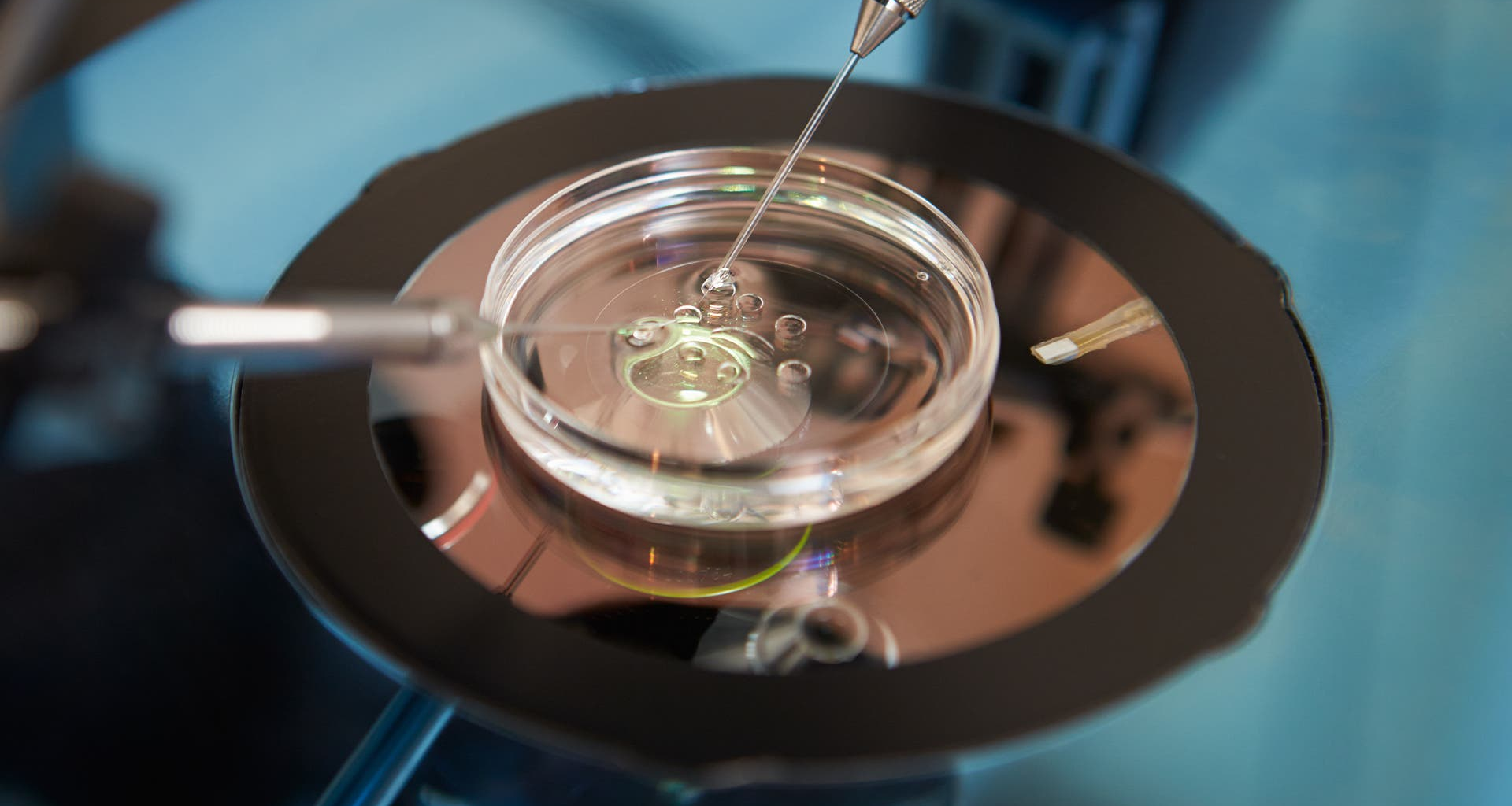 Elin Wiker: Vitrolife kan få nytt liv – köp