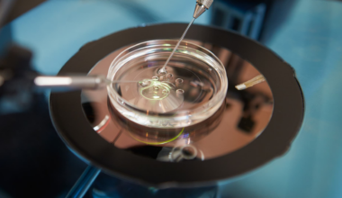 Elin Wiker: Vitrolife kan få nytt liv – köp