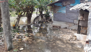 ”Det här är värre än Tsunamin” – Global Bar Magazine