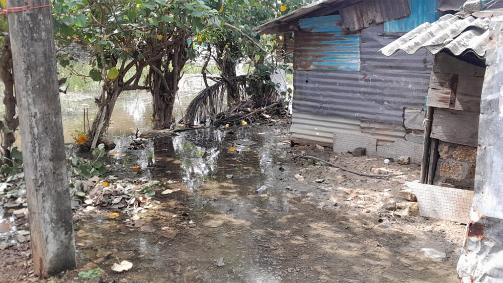 ”Det här är värre än Tsunamin” – Global Bar Magazine