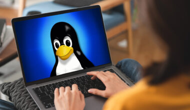 Flykten från Windows 10: Här är pingvinen som räddar din dator från soptippen