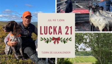 Lucka 21 - Sibräcka Prästgård