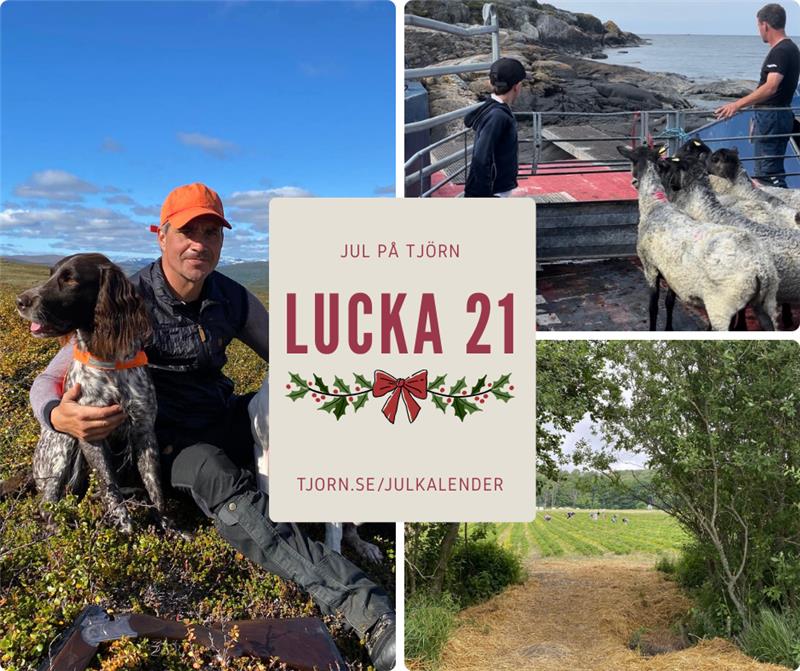 Lucka 21 - Sibräcka Prästgård