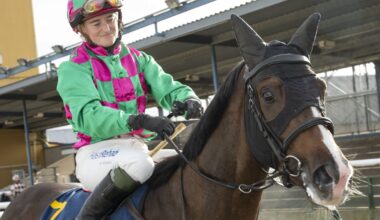 Dubai-satsningen växer: Nu har de svenska hästarna landat