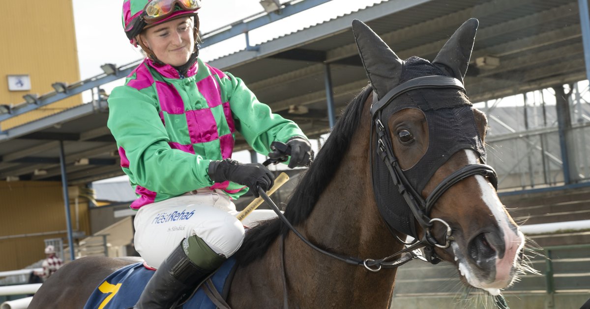 Dubai-satsningen växer: Nu har de svenska hästarna landat