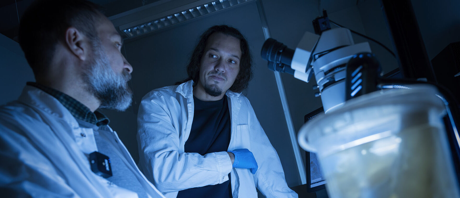 Nya marina svampdjur ger ledtrådar om djurens evolution