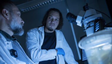 Nya marina svampdjur ger ledtrådar om djurens evolution