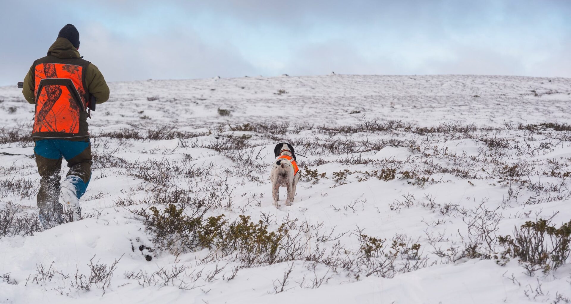 Hade de som nu talar om ”respekt för rättsläget” bemödat sig om att läsa våra reservationer skulle de se att vi moderater både värnar renskötseln och samtidigt vill säkerställa rätten att jaga och fiska på statens mark för alla svenskar, skriver debattören.