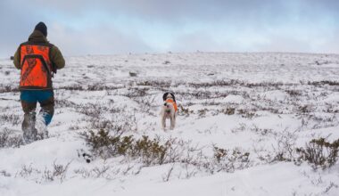 Hade de som nu talar om ”respekt för rättsläget” bemödat sig om att läsa våra reservationer skulle de se att vi moderater både värnar renskötseln och samtidigt vill säkerställa rätten att jaga och fiska på statens mark för alla svenskar, skriver debattören.