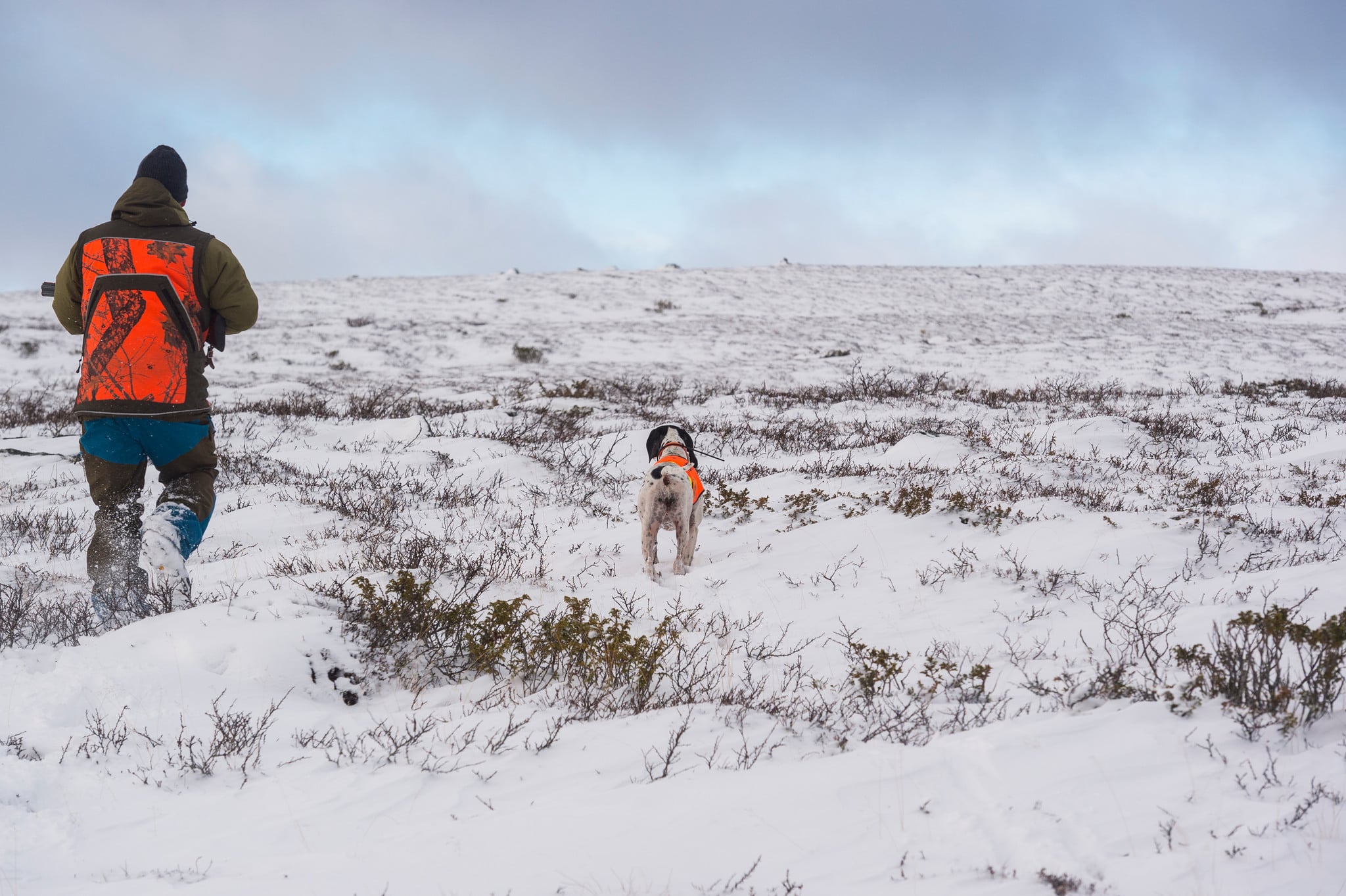 Hade de som nu talar om ”respekt för rättsläget” bemödat sig om att läsa våra reservationer skulle de se att vi moderater både värnar renskötseln och samtidigt vill säkerställa rätten att jaga och fiska på statens mark för alla svenskar, skriver debattören.