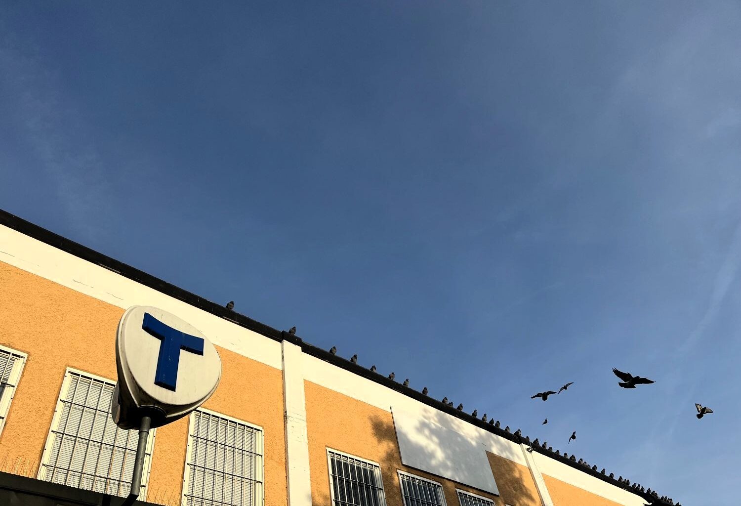 Mot en ljusare framtid i Järva