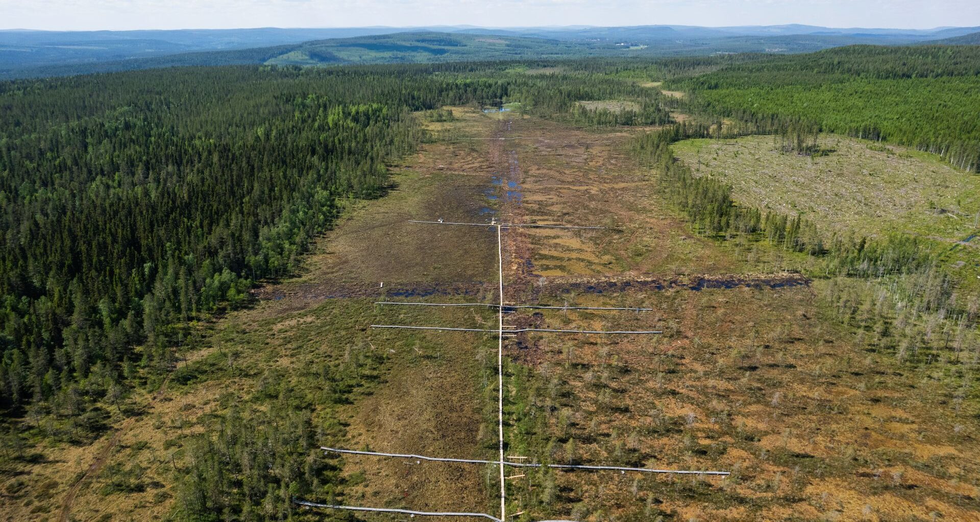 Flygbild på ett stort myrliknande fält med spångar utlagda.