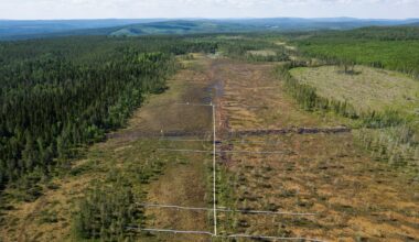 Flygbild på ett stort myrliknande fält med spångar utlagda.