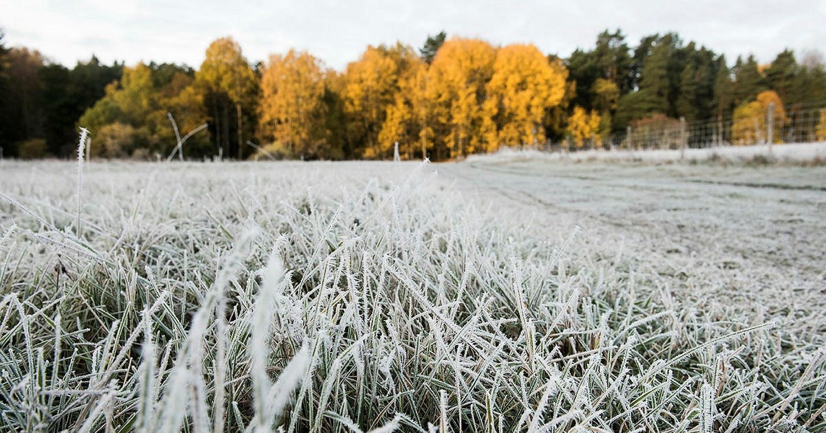 Sol och kyla på julafton