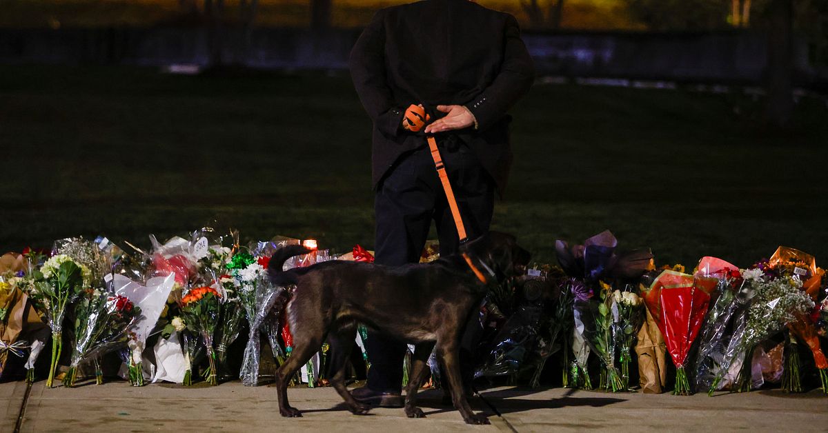 Misstänkt för Brownskjutning och MIT-mord död