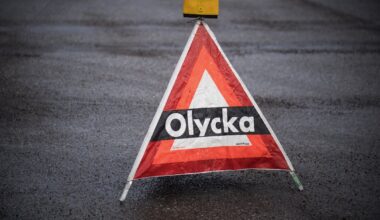 Nio viltolyckor – ”Manar till försiktighet” - Västerbottens-Kuriren