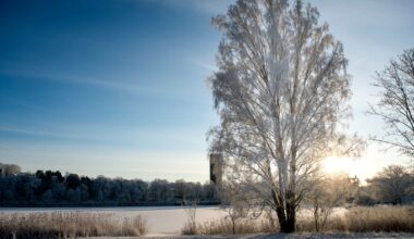 Vändningen – nu kommer solen och kylan