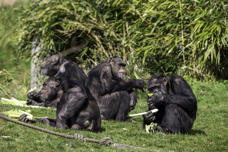 Photo_Edinburg Zoo_3.jpg